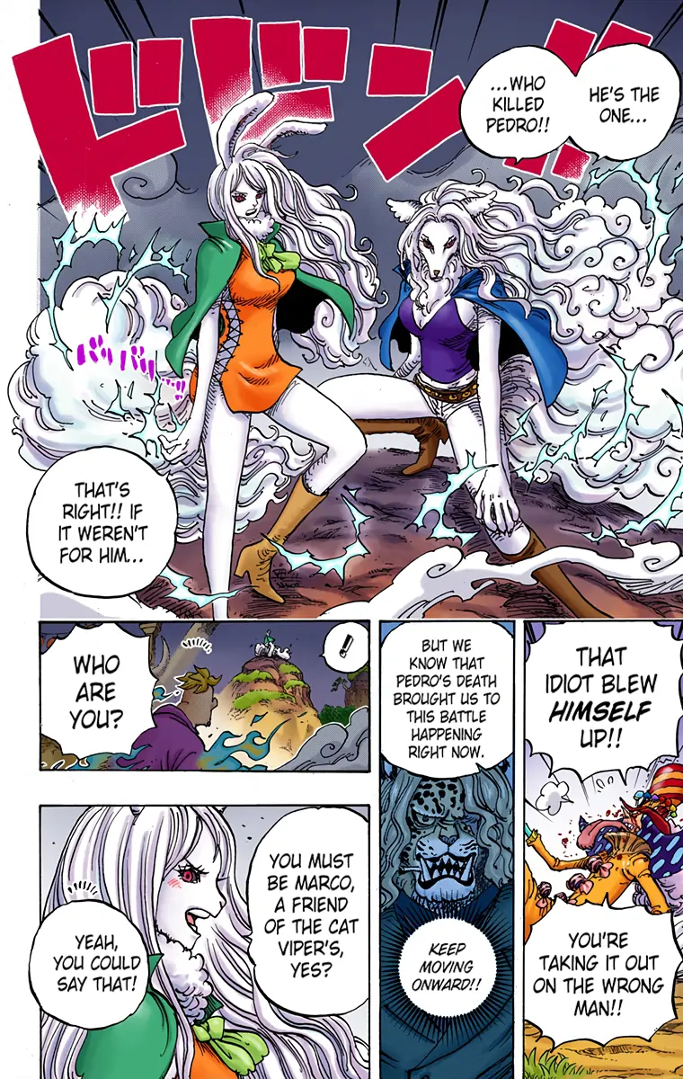 One Piece - Digital Colored Comics Chapter 995 13